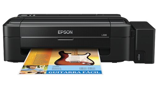 Epson L301